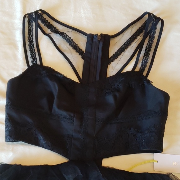 BCBGeneration Mesh/Tulle Dress - Picture 6 of 8